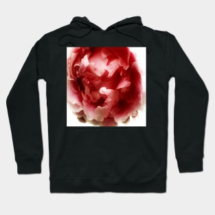 red-rose Hoodie